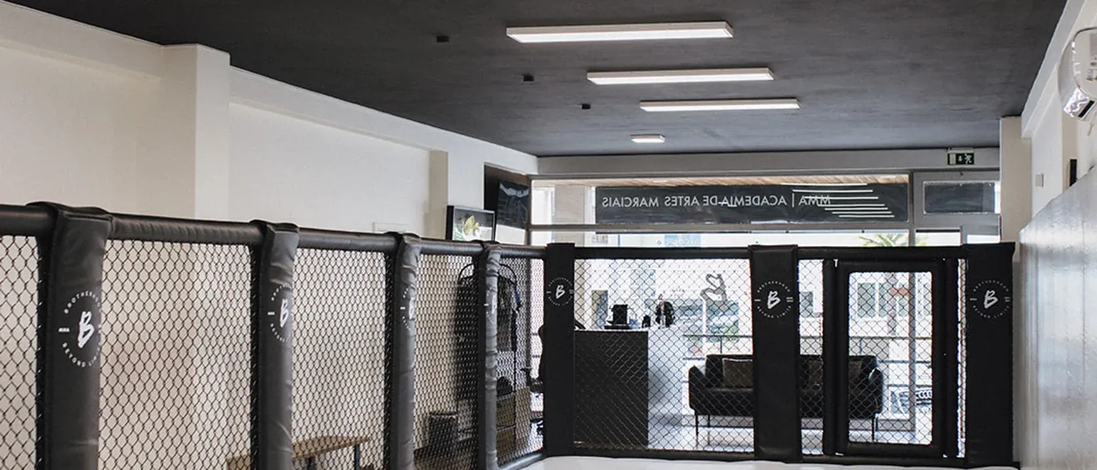 Onde treinar MMA na zona de Aveiro